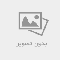 آبنوس پالایش